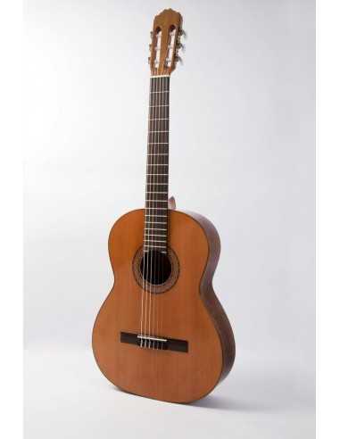 Guitarra Clásica Raimundo 104B (Serie Estudio)