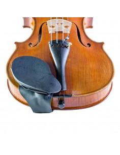 Barbada Viola Wolf...