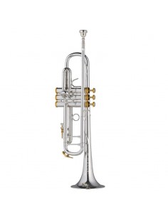 Trompeta Sib Bach 190S 43W2...