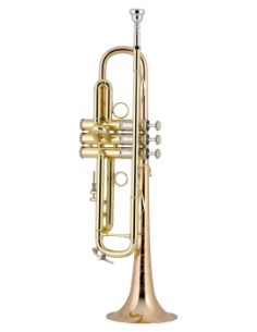 Trompeta Sib Bach LR190 43B...