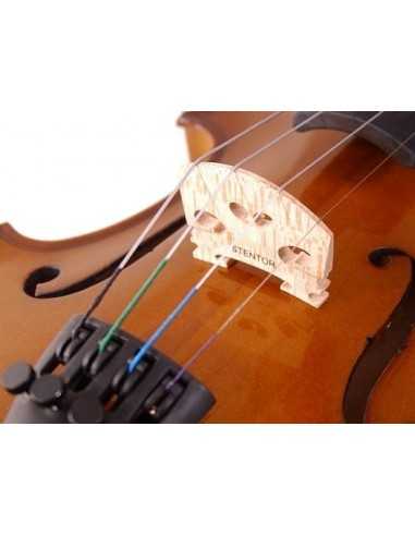 Violoncello 1/10 Stentor Student I (Arco y Funda)